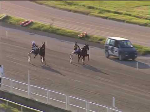 Trotto 30/04/2018 - 1ª corsa Minitrotter