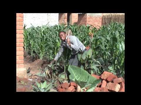 mr maninho   mukhandiseka by zex dj