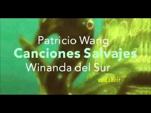 Canciones Salvajes (Patricio Wang) - El Insecto