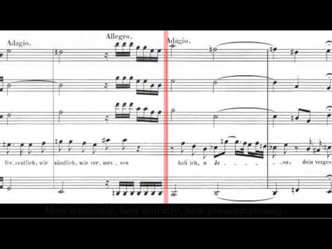 BWV 245: St.John Passion (Supplement)