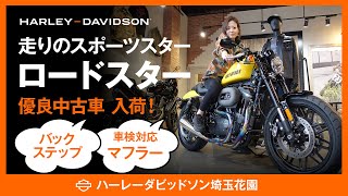 カフェレーサー仕様のスポーツスターをご紹介！