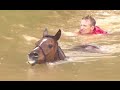 Horses Rescued From Flood Waters in Texas