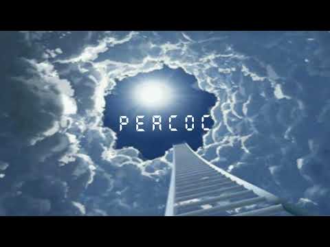 [FREE] 6 Dogs x Bladee x Yung Lean Type Beat "Heaven" (Prod. by Peacoc)