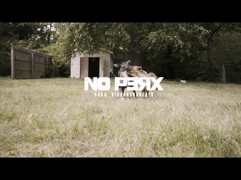 Lil Trayy -  No Perx | Shot by @projectsbyrae