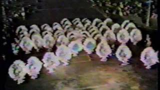 Harrowgate 1977 "Trip The Light Fantastic"