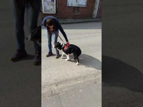 J+2 après l'opération de la hanche d'Héliot