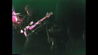 The Feelies - Everybody's Got Something to Hide (Except Me and My Monkey)