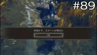 また何かやっちゃいました？【エルデンリングDLC】#89　※ネタバレ注意