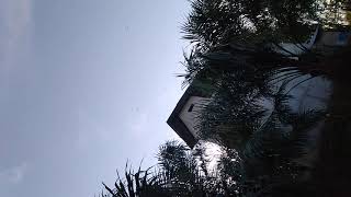 Download lagu suara panggil walet durasi pendek tapi respon mannntap mp3