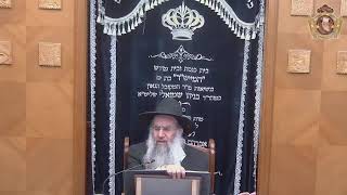 הדף היומי מסכת גיטין  דף  סב כ״ט בתמוז תשפ״ג  מפי מו"ר הרב דן גבאי שליט"א