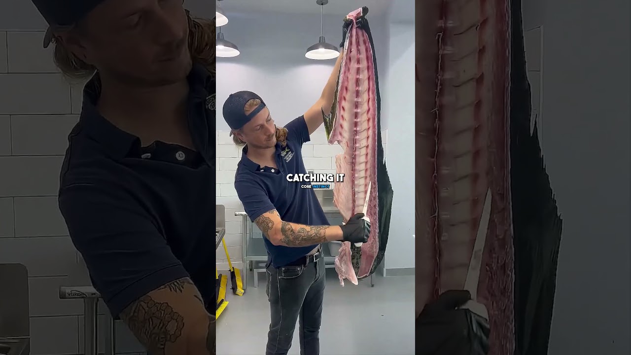 Joe Rogan On Fresh Fish