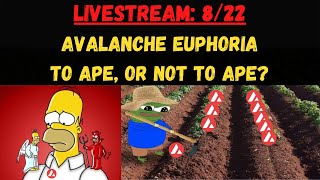 Avalanche Euphoria: To be Humble, or To Be Greedy? Strategy Overview