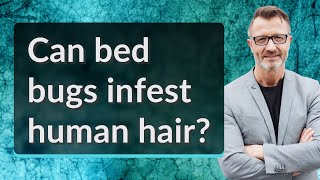 Can bed bugs infest human hair?