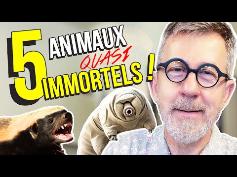 TOP 5 Almost Immortal Animals