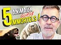 5 animaux quasi immortels | TOP 5