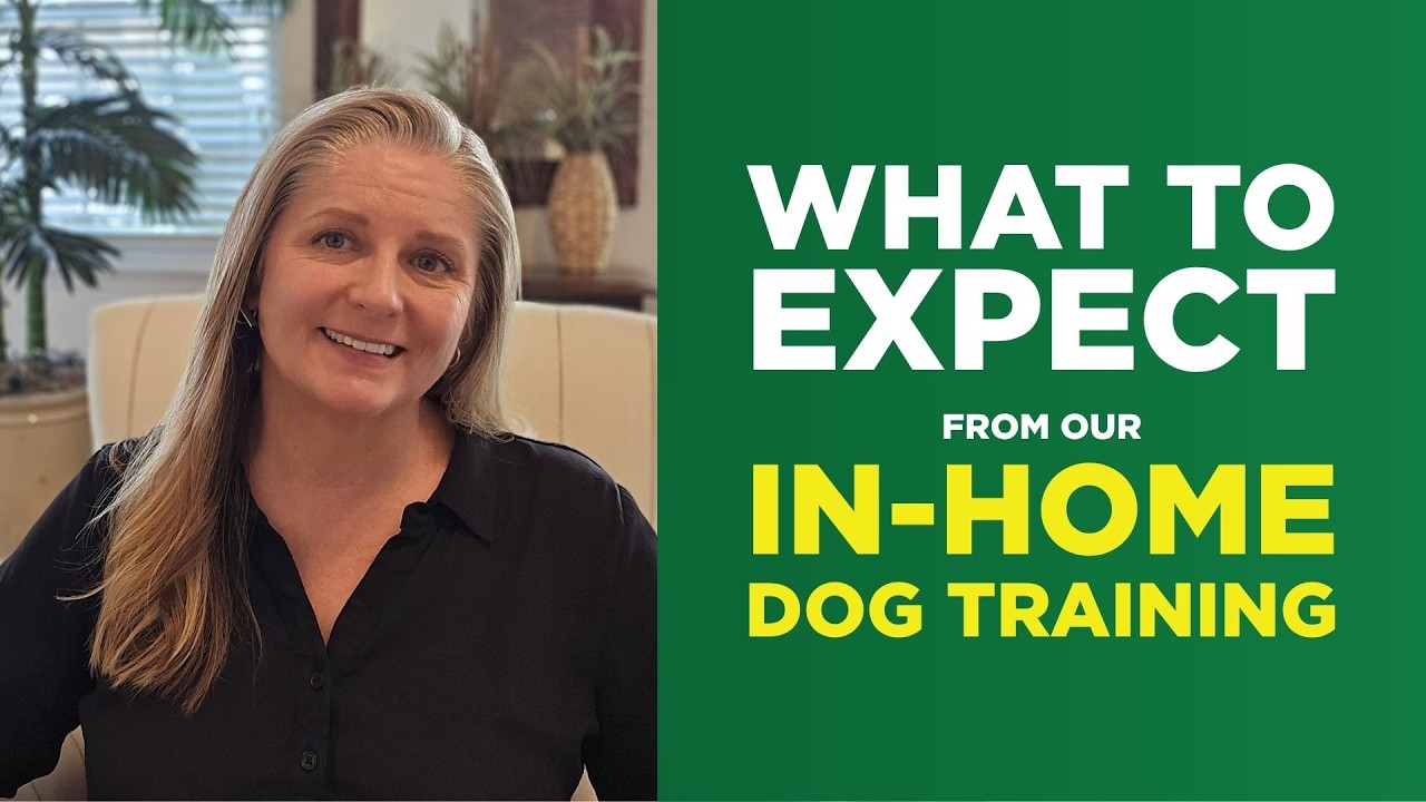Video preview image for Meet Your Experts for Dog Training in Charleston