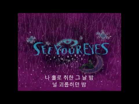 잔나비- see your eyes 가사