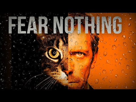 Phobia of CATS? Solutions and Ideas