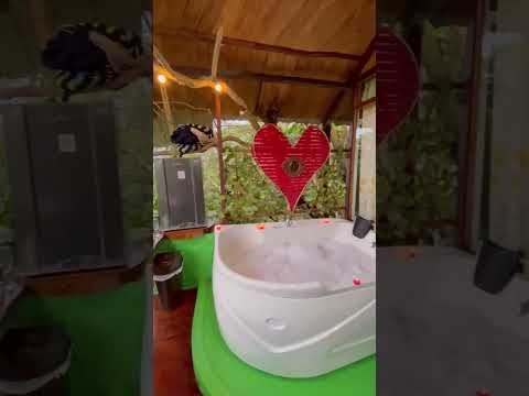 ¿Conocían esta cabañita en Mocoa?#mococa #putumayo