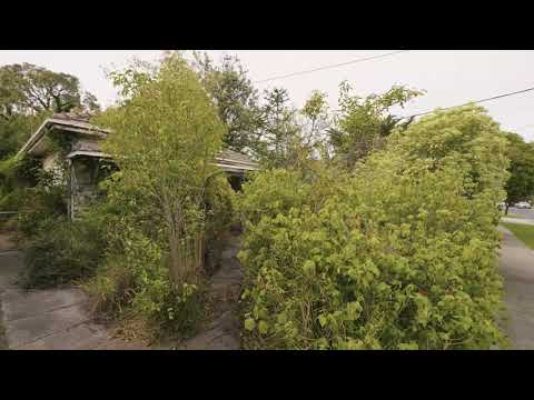 136 Deakin Street, Essendon, VIC 3040, 2 slaapkamers, 1 badkamers, House