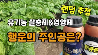 유기농 살충제 영양제 이벤트 발표!! 랜덤추첨했습니다 가을무배추밭과 각종 해충 방제에 효과적입니다