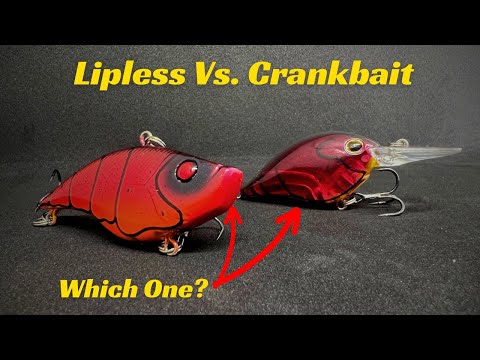 When Do You Choose A Lipless Crankbait Over Diving Crankbait?