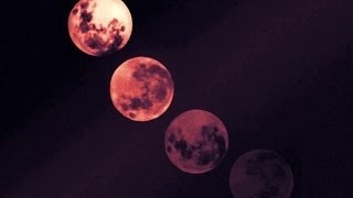 Shigeru Umebayashi - George's Waltz video