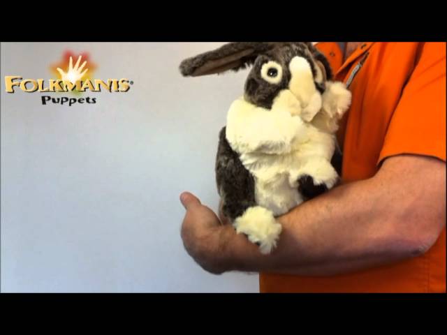 Video Teaser für 2568 Folkmanis Dutch Rabbit