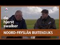 HJERSTSWALKER - De natuur van Noord-Fryslân buitendijks