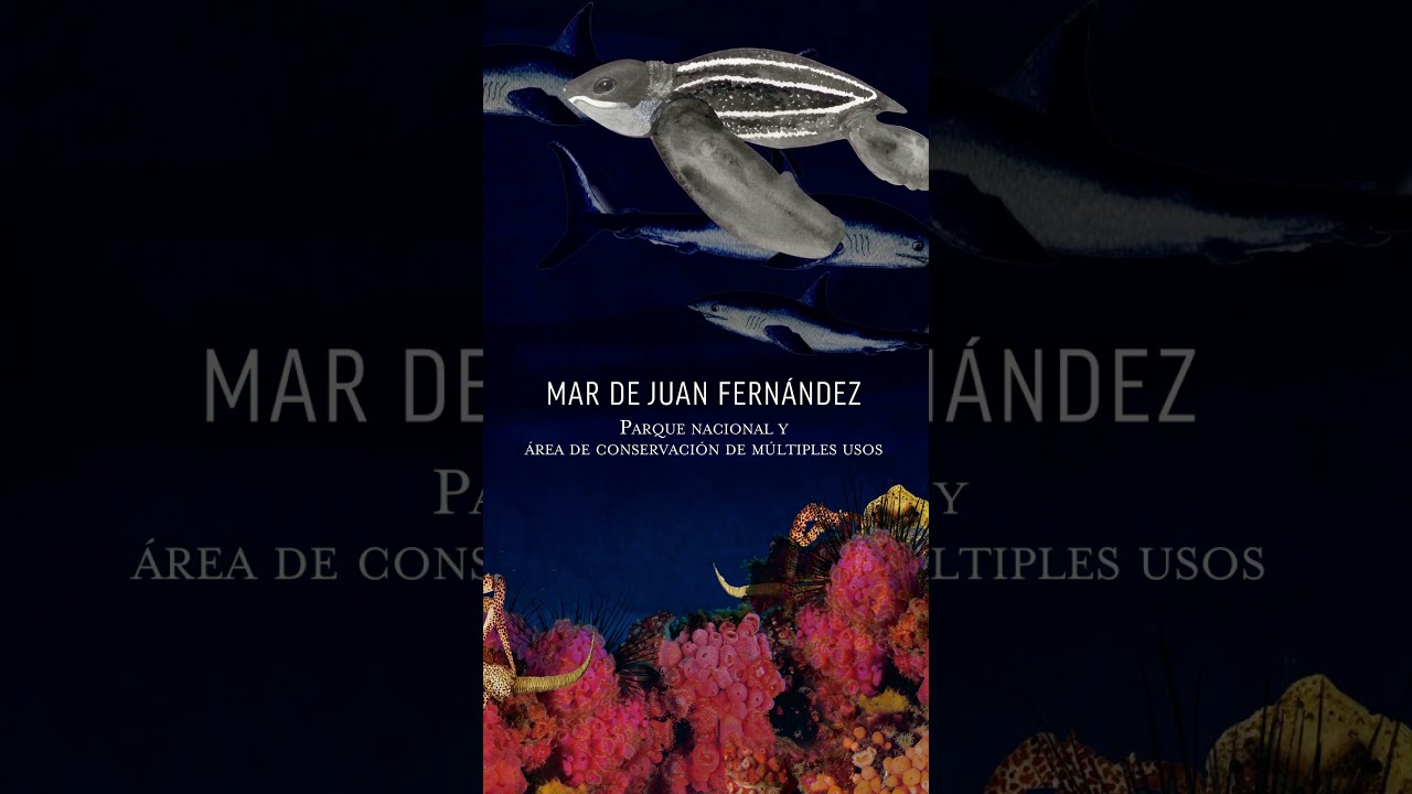 Mes del Mar | Mar de Juan Fernández