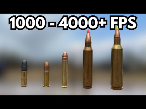 22 Cal. Shootout - 22 LR - 22 Mag - 223 - 22-250