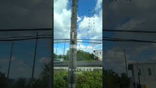 少女レイ：アカペラ #歌ってみた #アカペラ  #麻婆豆腐 #少女レイ