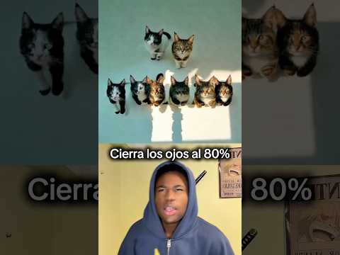 Que has visto?