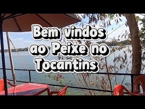 🌊✨ RIO TOCANTINS NA CIDADE DO PEIXE – UM LUGAR ENCANTADOR! 🐟💚 