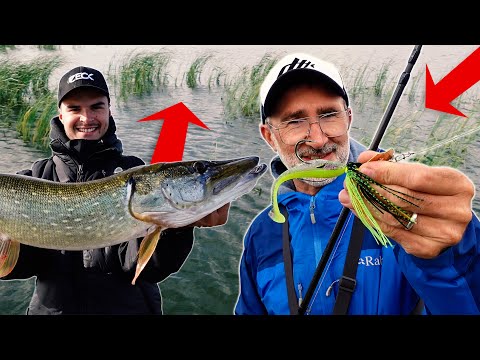 How to chat with big pike (from May to February)