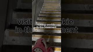 CHILLZ LOVES IT DOWN THERE 😊