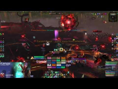 In Extremis vs Mythic Il'gynoth (Mistweaver POV)