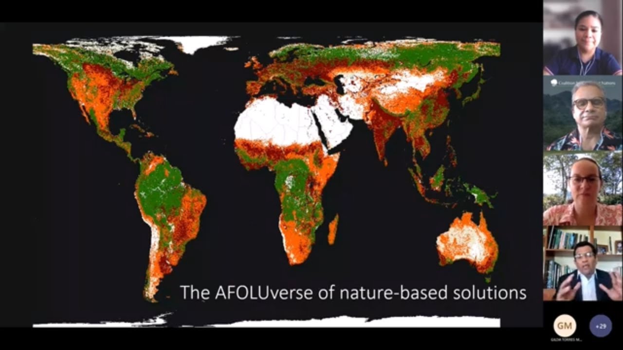 Que Se Espera De COP27 (Spanish)