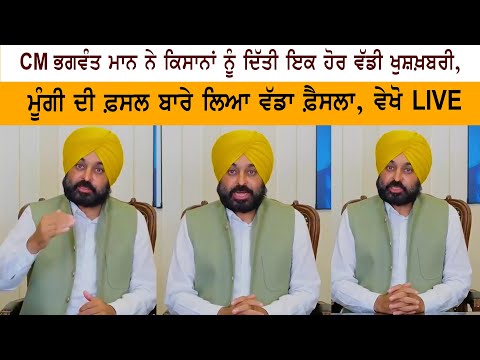 Punjab CM Mann announces major relief for Moongi cultivators Punjab CM Mann announces major relief for Moongi cultivators
