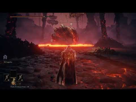 Bleed, Poison, Rot Antspur Rapier x2 Arcane/Dext Build VS Rykard, Lord of Blasphemy. No Mickey Spear