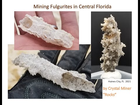 Digging for Sand Fulgurites -  Haines City, FL
