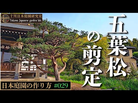 5月にテラスとバルコニーに何を植えますか