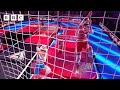 This Eliminator Challenge Will Go Down In Gladiators History Gladiators BBC