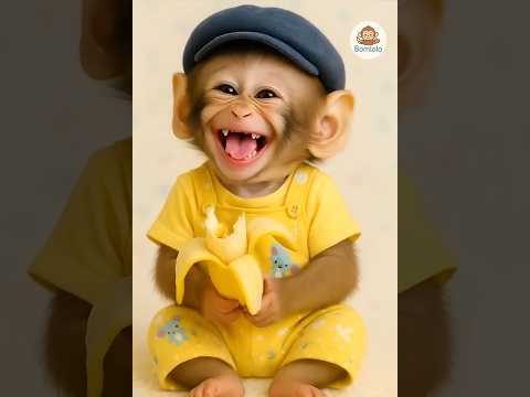🐒 Funny Monkey Eating Banana 🍌 and Laughing 😂