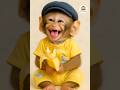 🐒 Funny Monkey Eating Banana 🍌 and Laughing 😂