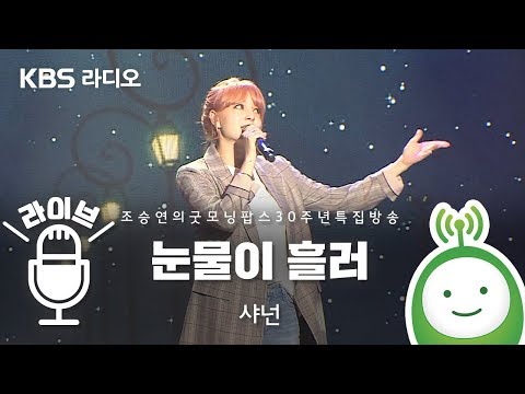 샤넌(Shannon Williams) "눈물이 흘러(Love Don't Hurt)" [조승연의 굿모닝팝스 30주년 특집 방송]
