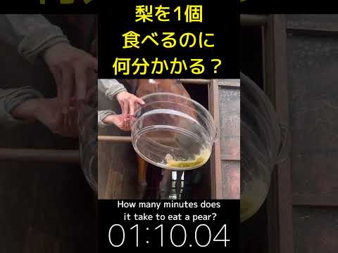 馬は何を食べますか?