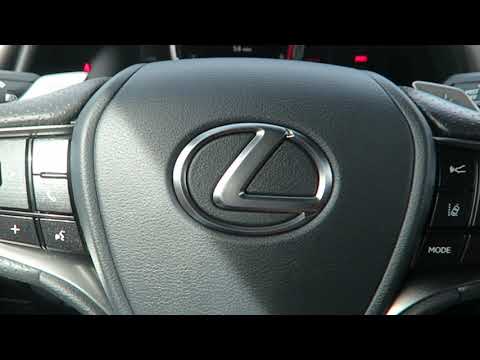 Reviewing The New 2020 Lexus ES 350 F Sport!