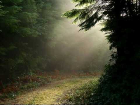 Boyz II men (español) - Al final del camino.....