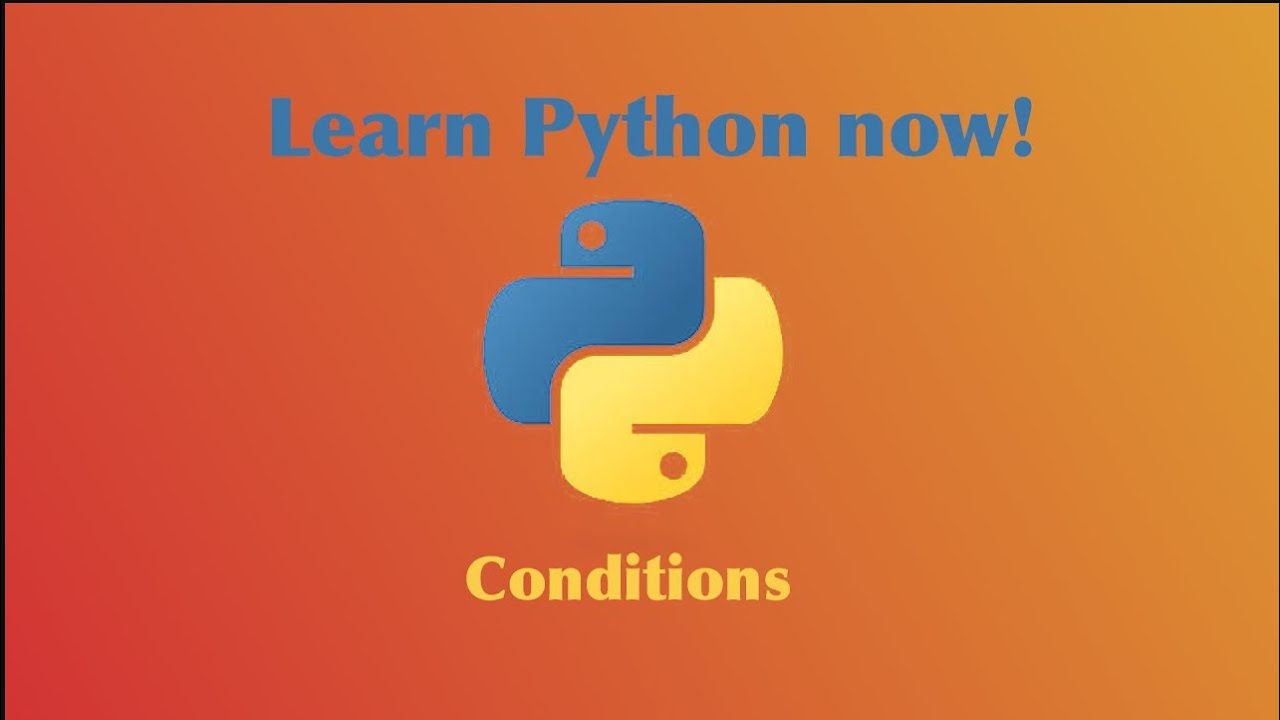 How To Code Python! (mad lib story)